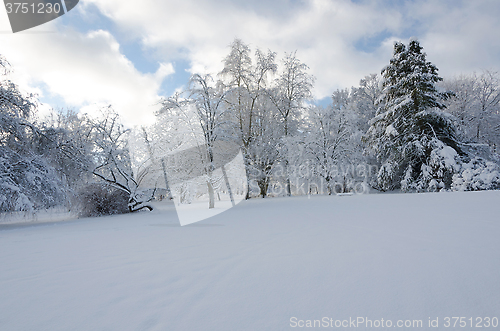 Image of winter in sweden with a lot of snow