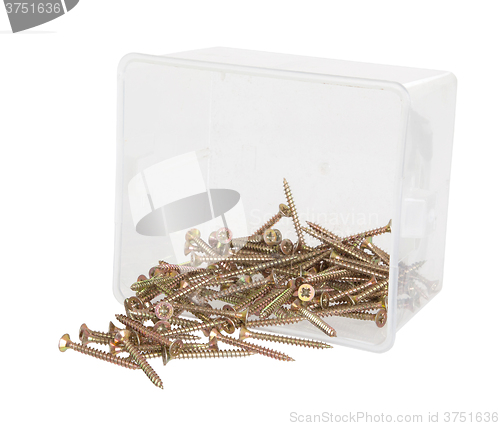 Image of Brass cross screws in a plastic box