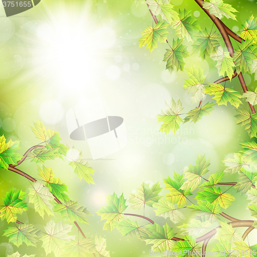 Image of Season branches with fresh green leaves. EPS 10