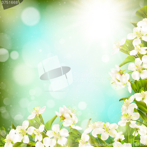 Image of Spring border background. EPS 10 
