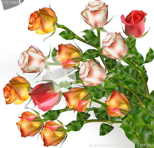 Image of Bouquet of rose flowers on white. EPS 10