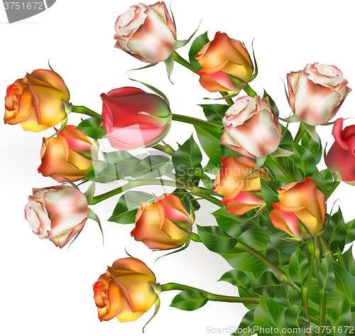 Image of Abstract background of flowers. Close-up. EPS 10