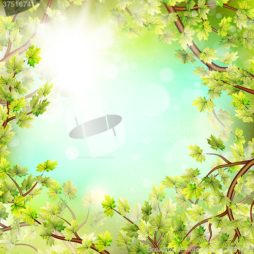 Image of Season branches with fresh green leaves. EPS 10