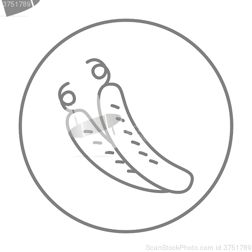 Image of Cucumber line icon.