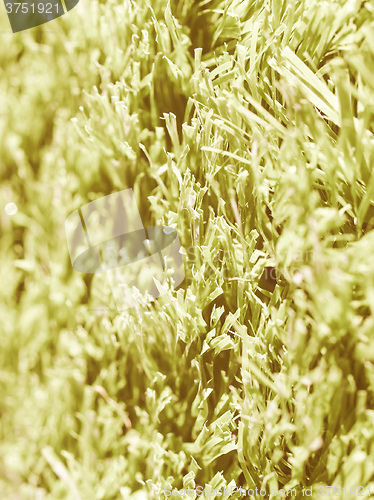 Image of  Artificial meadow vintage