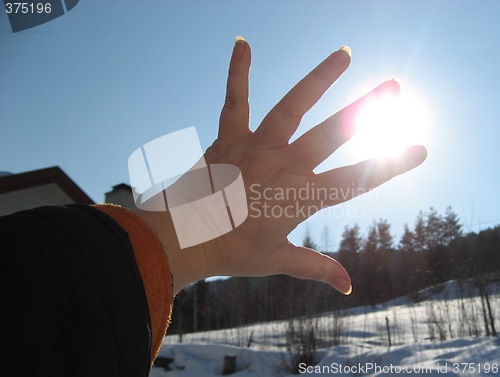 Image of Hand against the sun