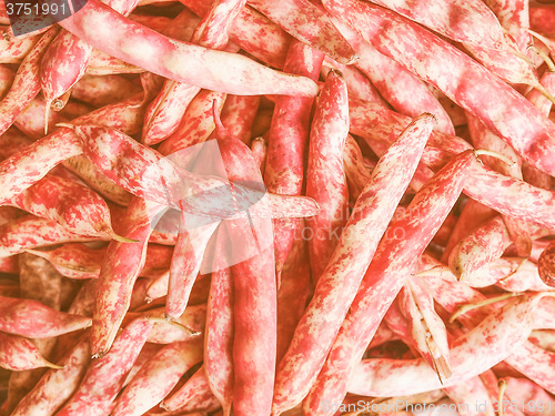 Image of Retro looking Cranberry beans
