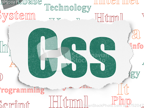 Image of Programming concept: Css on Torn Paper background