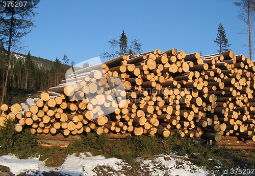 Image of Lot of timber