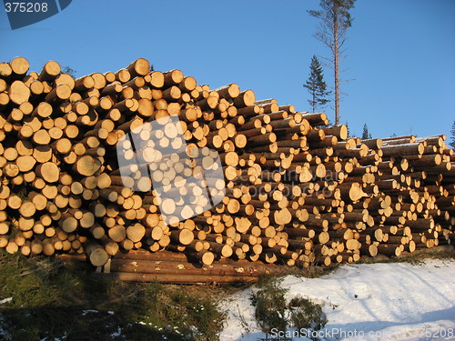 Image of Timber