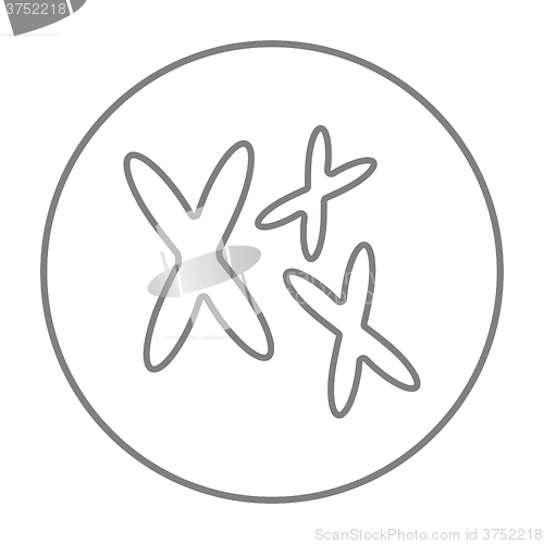 Image of Chromosomes line icon.