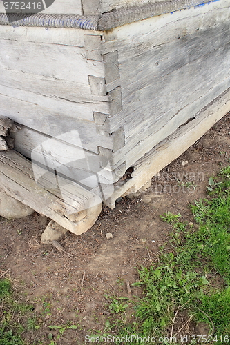 Image of effects of fungus attack on old wooden wall