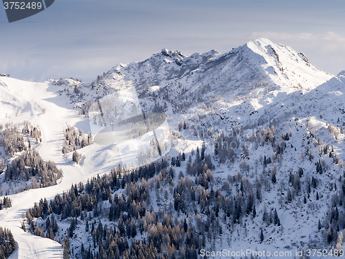 Image of winter landscape