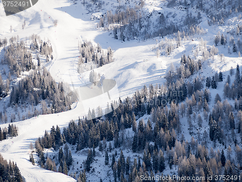 Image of winter landscape