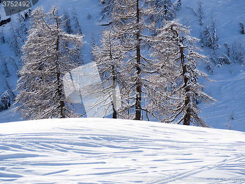 Image of winter landscape