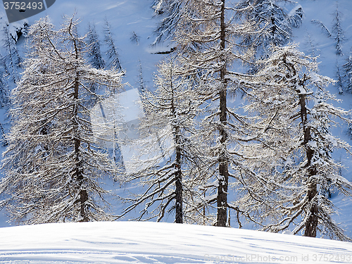 Image of winter landscape