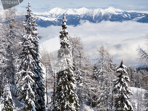 Image of winter landscape