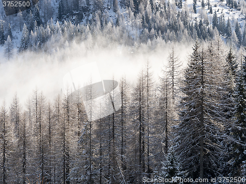 Image of winter landscape