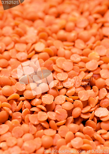 Image of Dry  Red Lentils