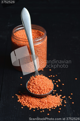 Image of Dry  Red Lentils