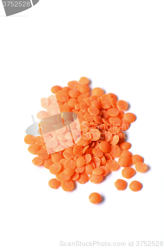 Image of Dry  Red Lentils