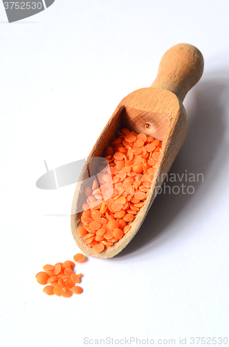 Image of Dry  Red Lentils