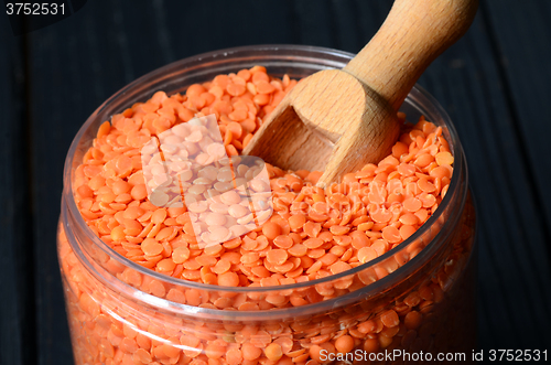 Image of Dry  Red Lentils