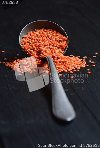 Image of Dry  Red Lentils