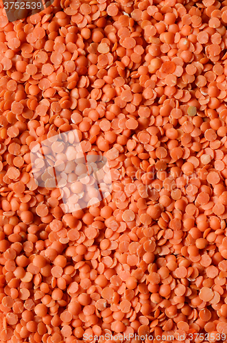 Image of Dry  Red Lentils