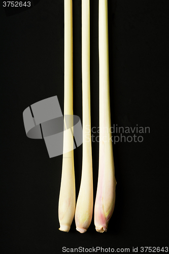 Image of Lemongrass