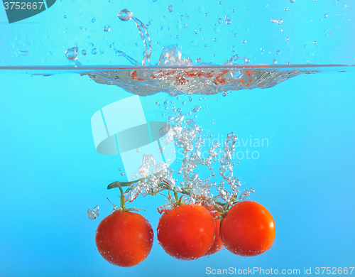 Image of red tomatoes dropped into water
