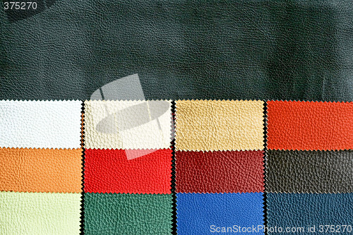 Image of Leather chart 3