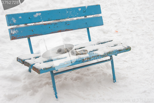 Image of On a snow-covered bench lie forgotten childrens mittens