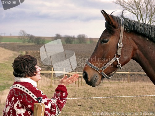 Image of Talking To Horses