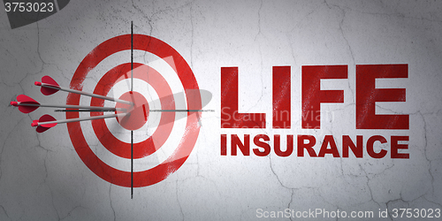 Image of Insurance concept: target and Life Insurance on wall background