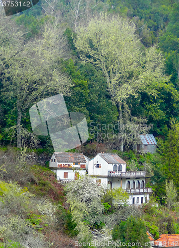 Image of Island named Madeira