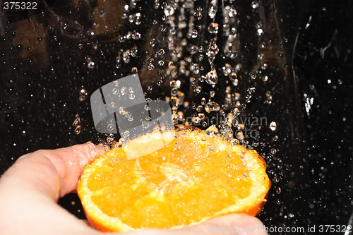 Image of orange