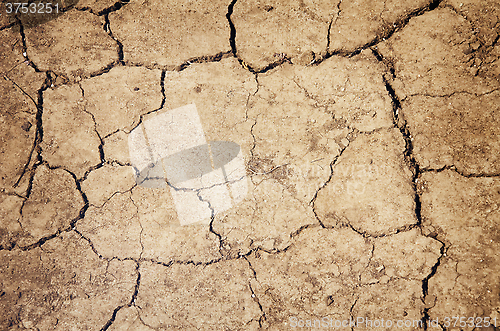 Image of Parched Ground