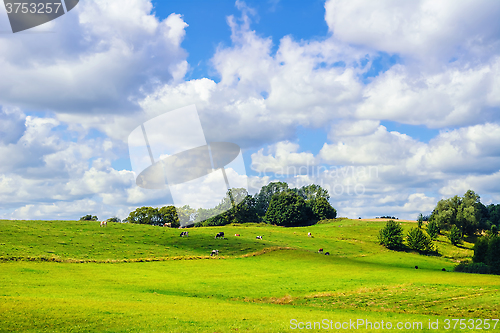 Image of Pasture Land