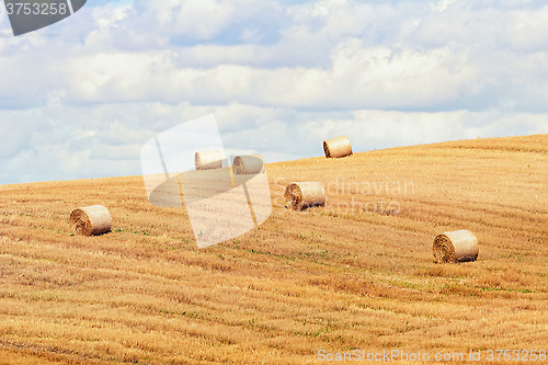 Image of Haystacks on the Field