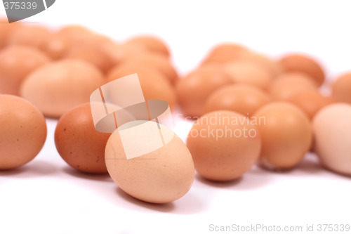 Image of eggs