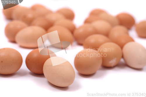 Image of eggs