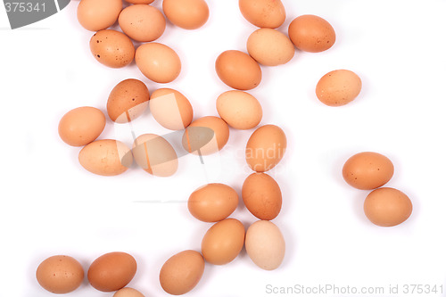 Image of eggs