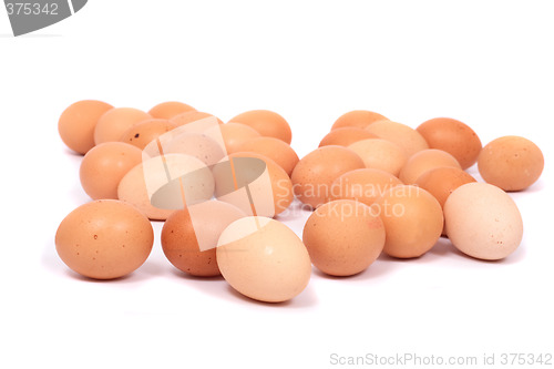 Image of eggs