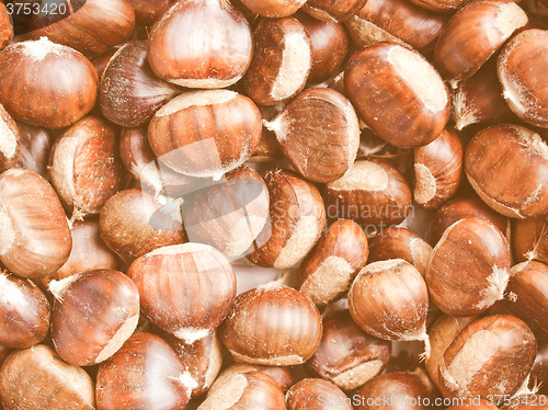 Image of Retro looking Chestnuts