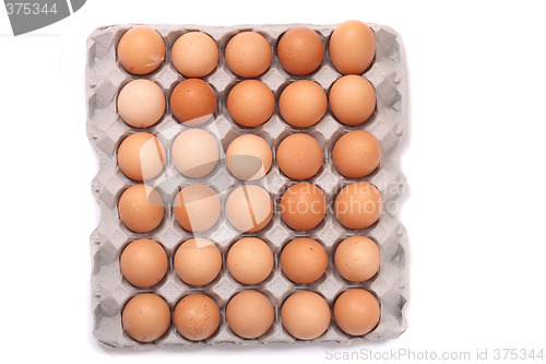 Image of eggs