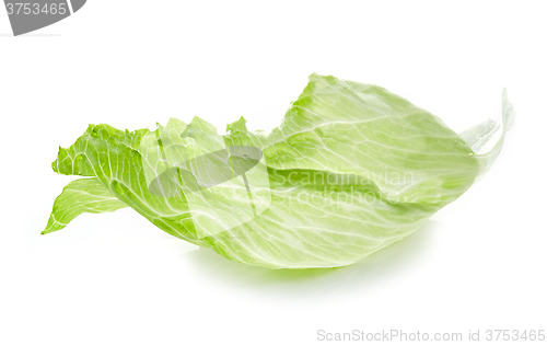 Image of Leaf of Iceberg lettuce