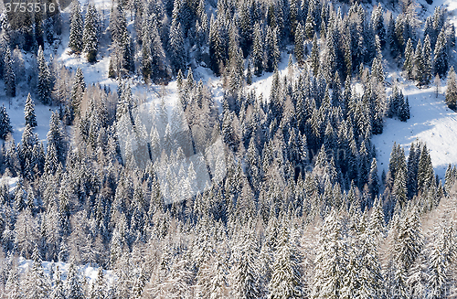 Image of winter landscape