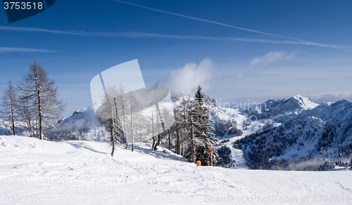 Image of winter landscape