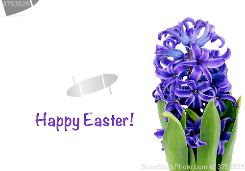 Image of Easter Greeting Card